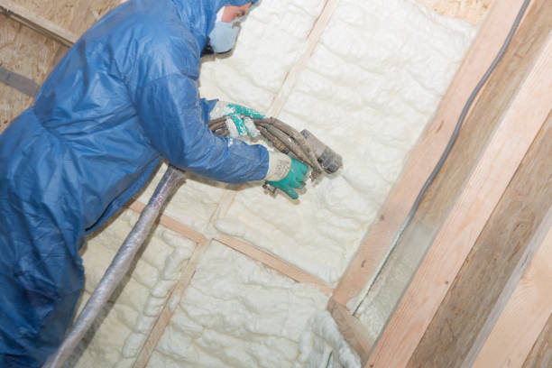 Types of Insulation We Offer in Horicon, WI